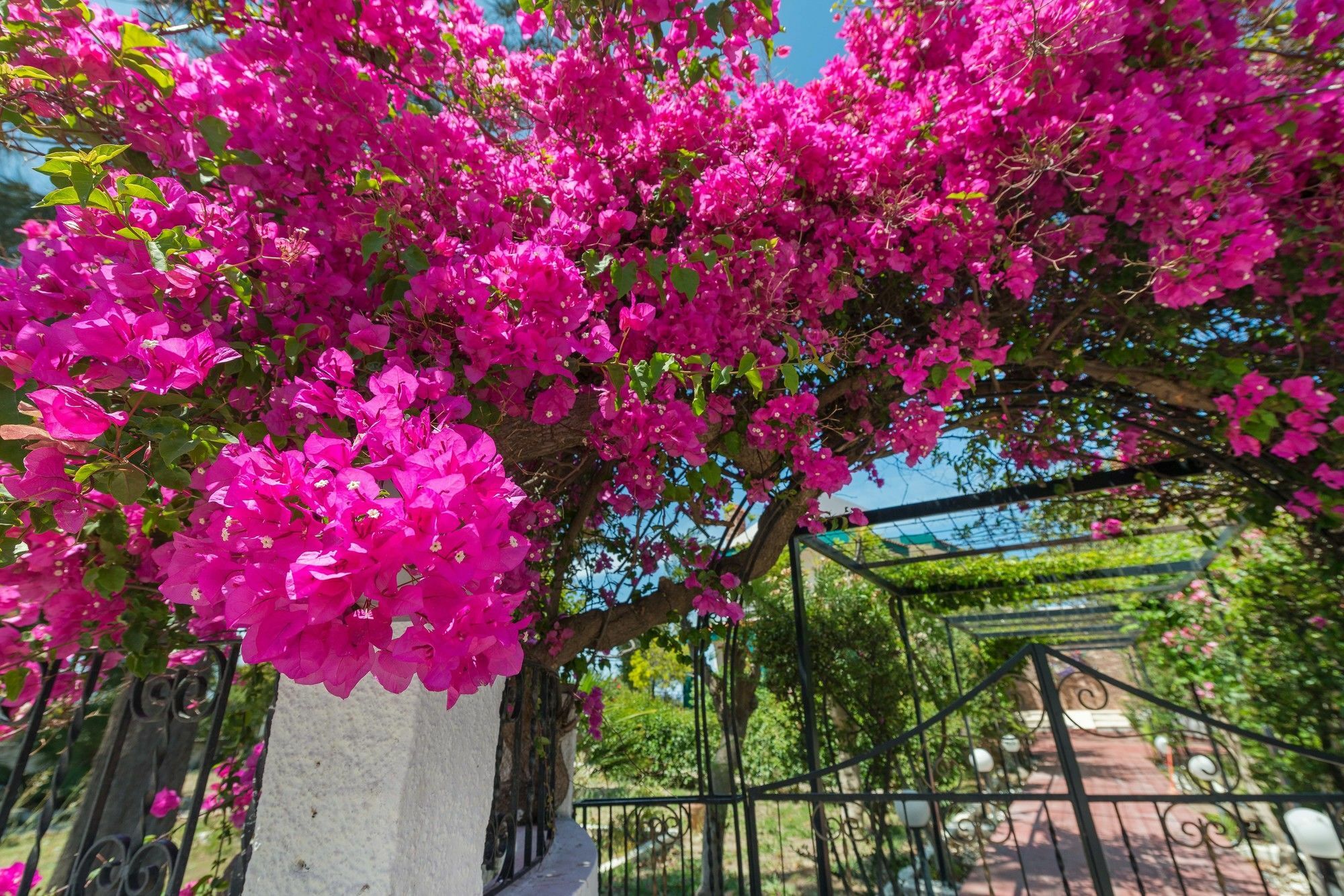 Villas Marianna Kalavárda Buitenkant foto